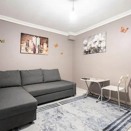 Central Istanbul Apartments